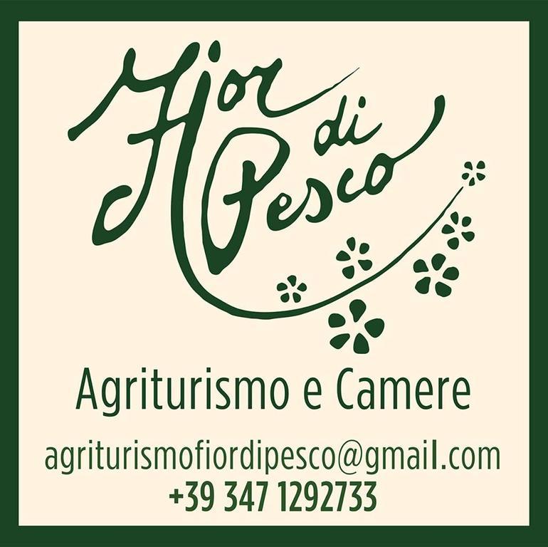 Agriturismo Fior Di Pesco 호텔 솜마캄파냐 외부 사진
